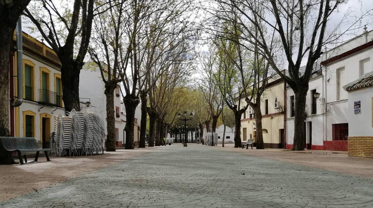 Coronavirus en Sevilla: Calles desiertas en Constantina, cumpliendo con el estado de alarma