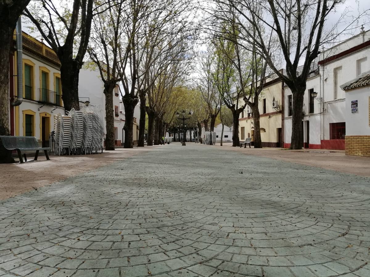 Coronavirus en Sevilla: Calles desiertas en Constantina, cumpliendo con el estado de alarma