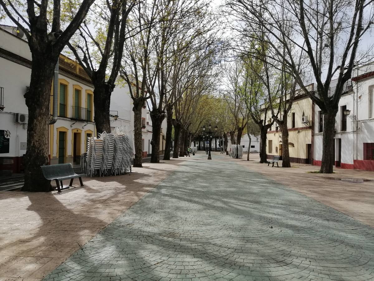 Coronavirus en Sevilla: Calles desiertas en Constantina, cumpliendo con el estado de alarma