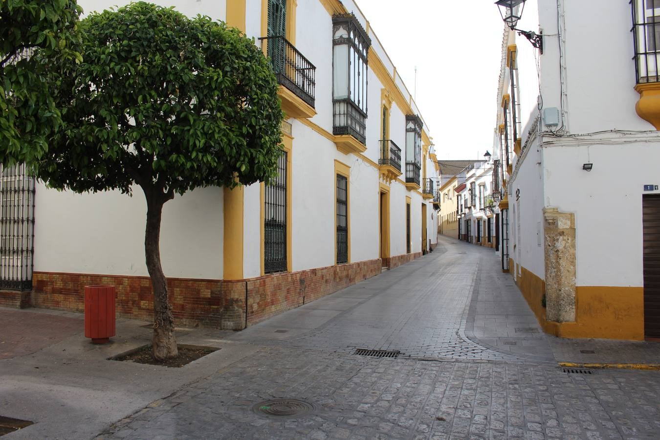 Calle Menéndez Pelayo