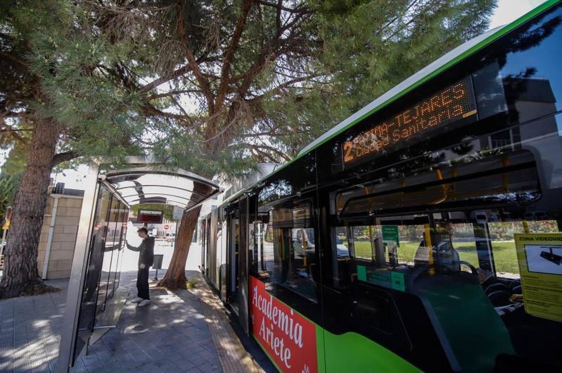 El servicio de Aucorsa durante el estado de alarma, en imágenes