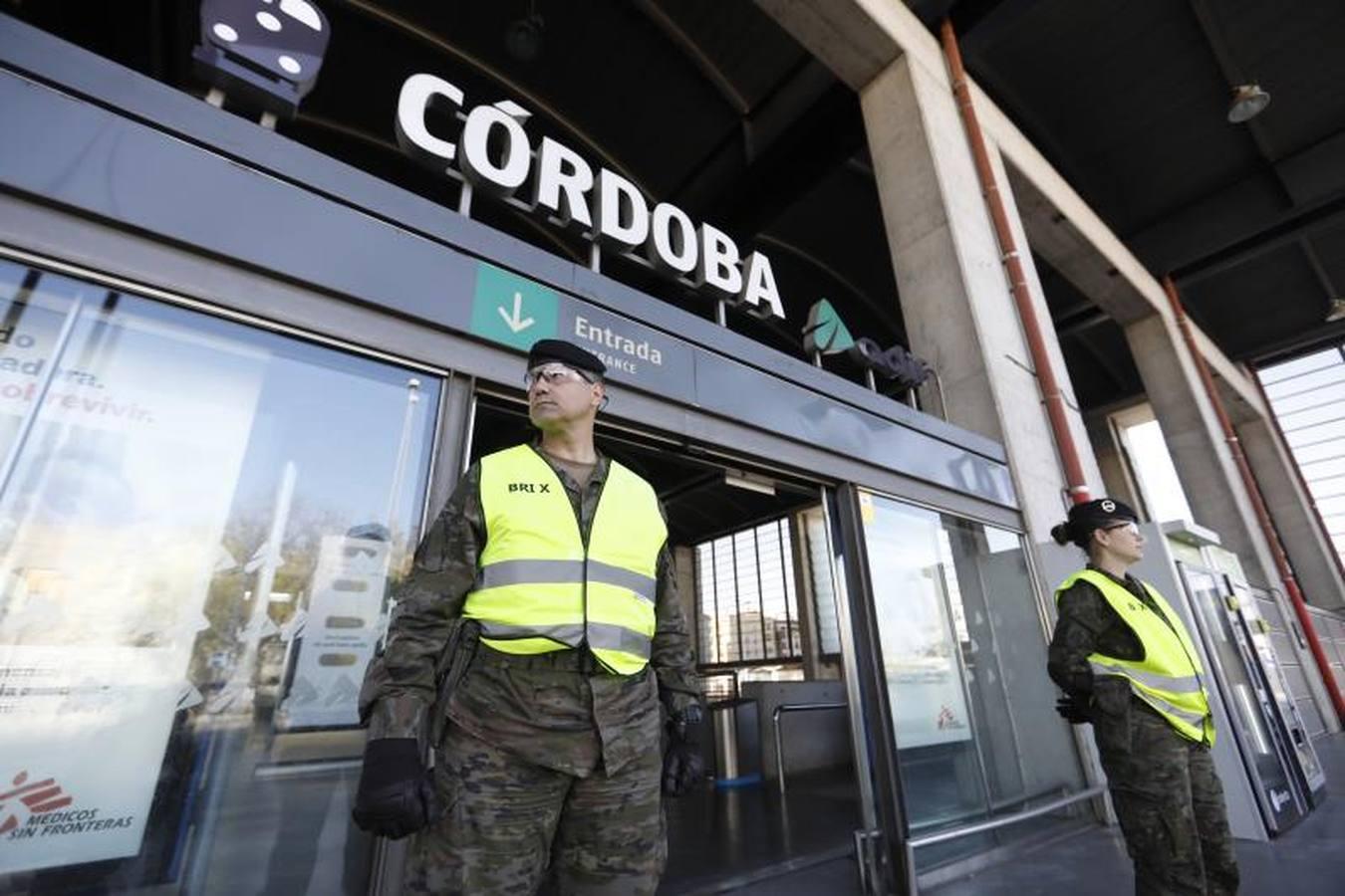 La «misión» de la Bri X contra el coronavirus en Córdoba, en imágenes