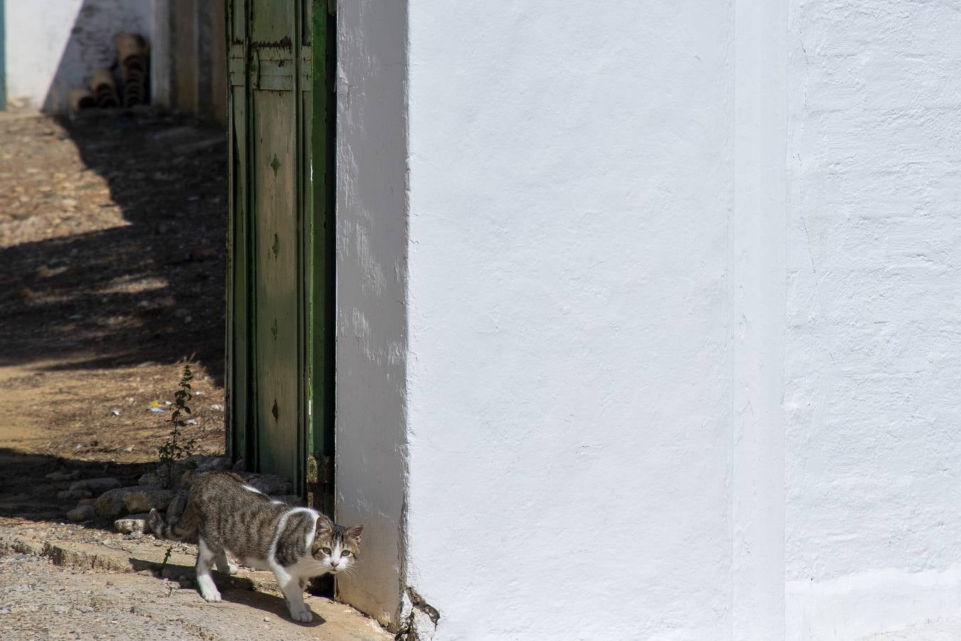 Coronavirus en Sevilla: así se vive el estado de alarma en las calles de Espartinas