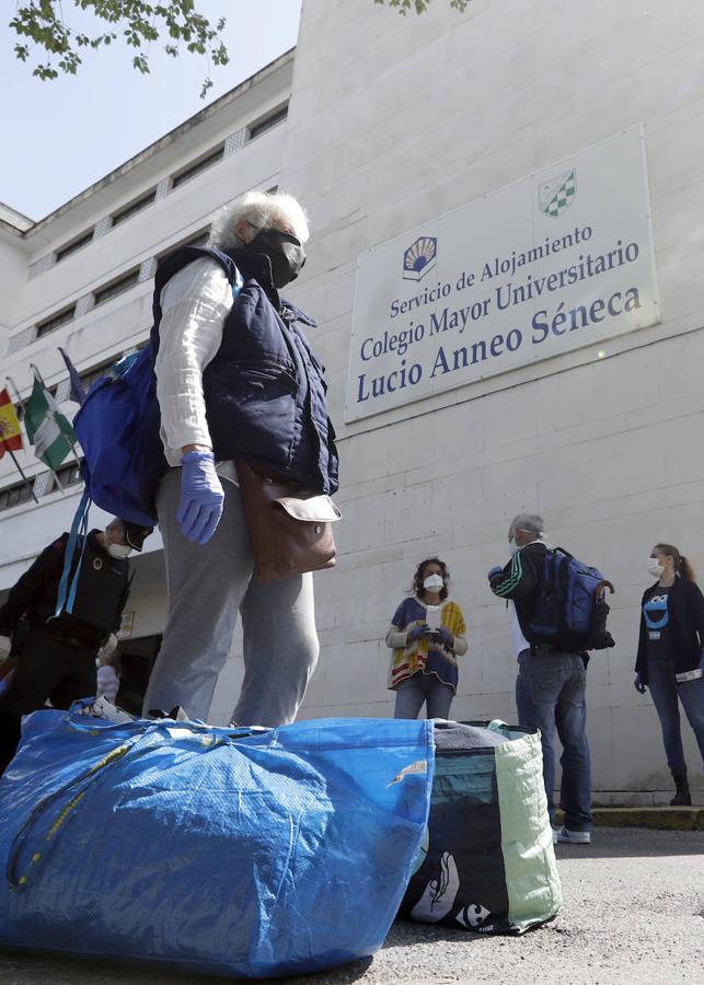 El traslado en Córdoba de personas sin hogar por el coronavirus, en imágenes