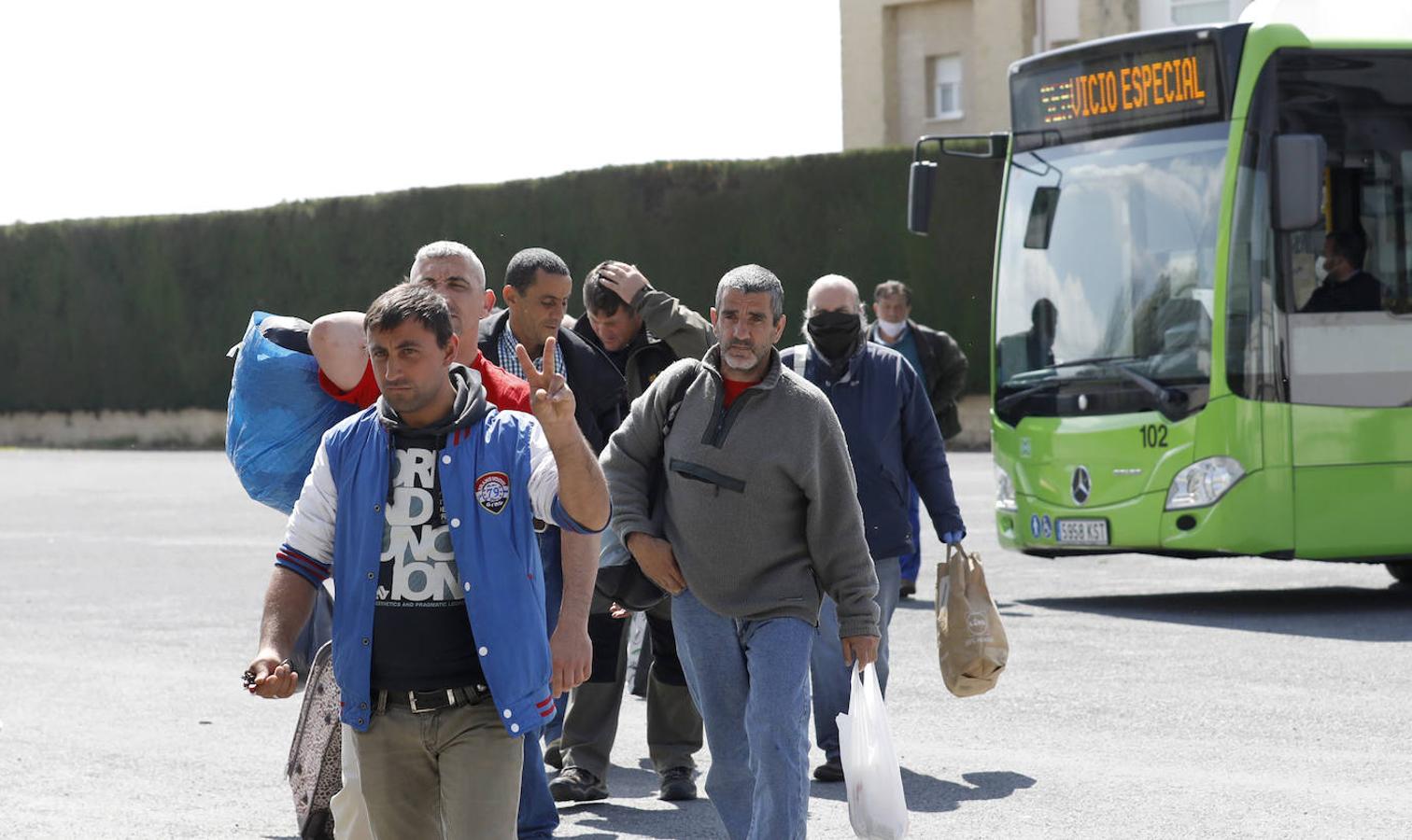 El traslado en Córdoba de personas sin hogar por el coronavirus, en imágenes