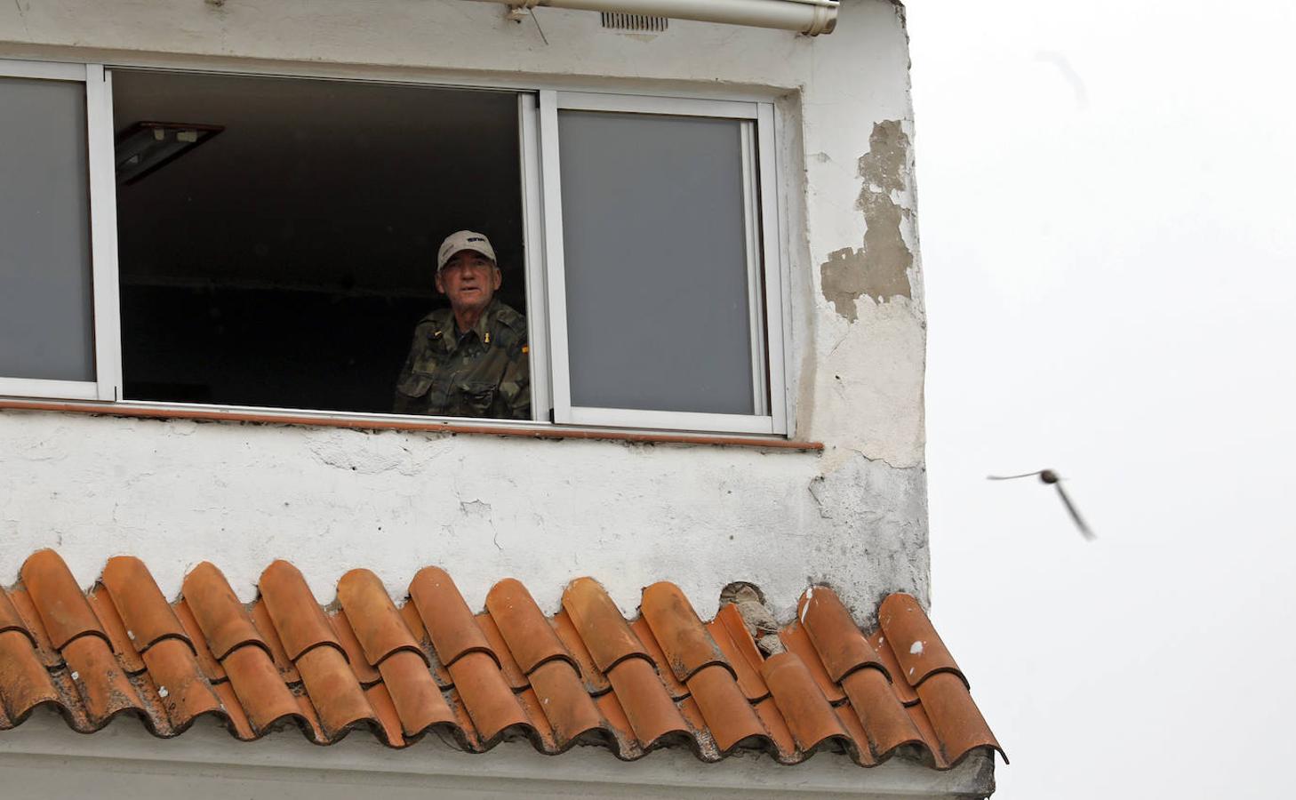 La vida en los balcones de Córdoba durante el confinamiento, en imágenes