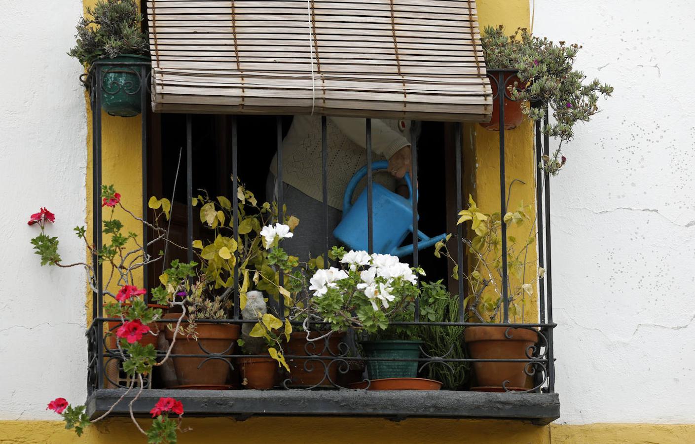 La vida en los balcones de Córdoba durante el confinamiento, en imágenes