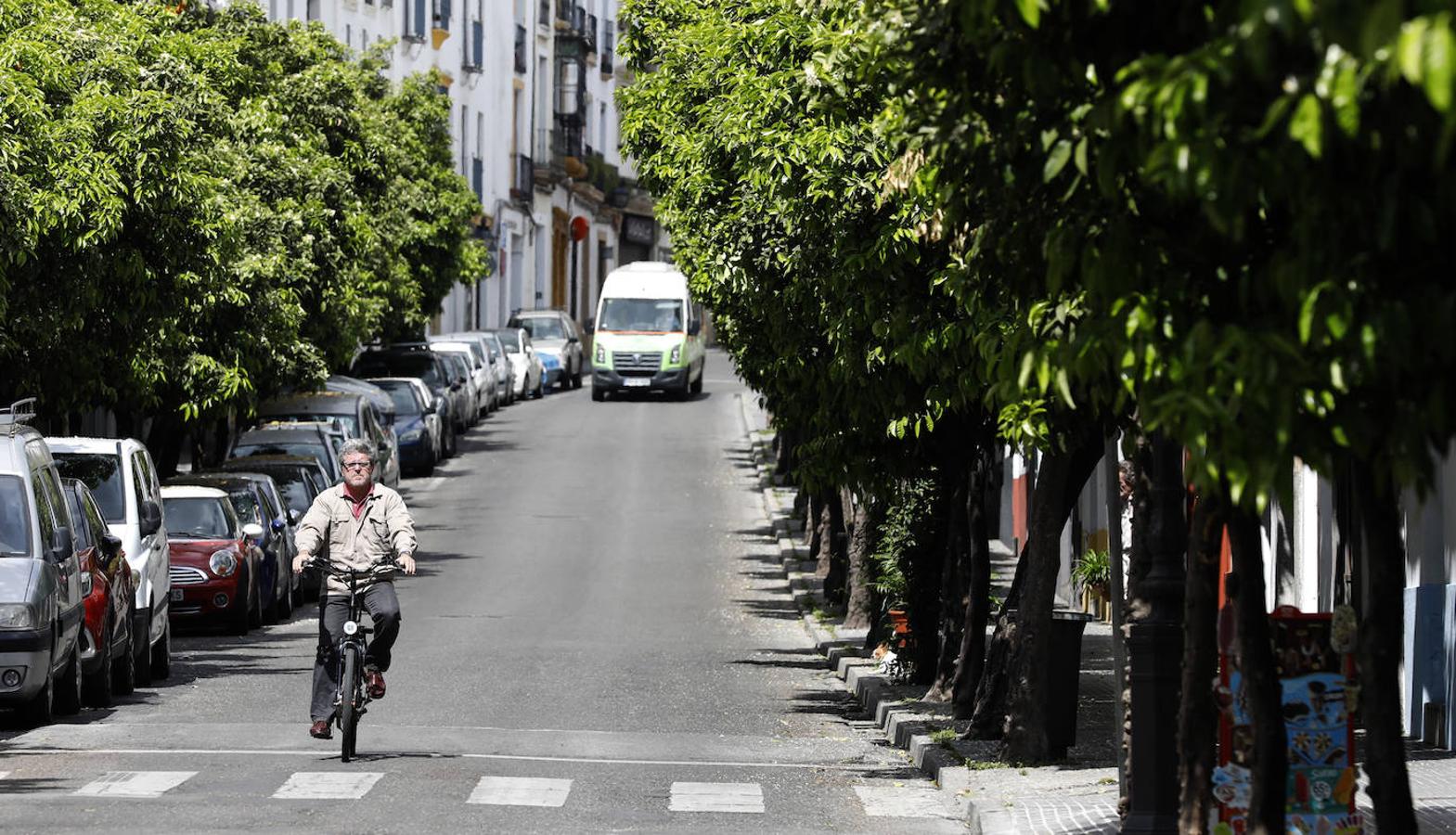 Callejero sentimental: la calle San Fernando de Córdoba, en imágenes