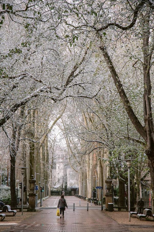 Nieve en  Vitoria. 