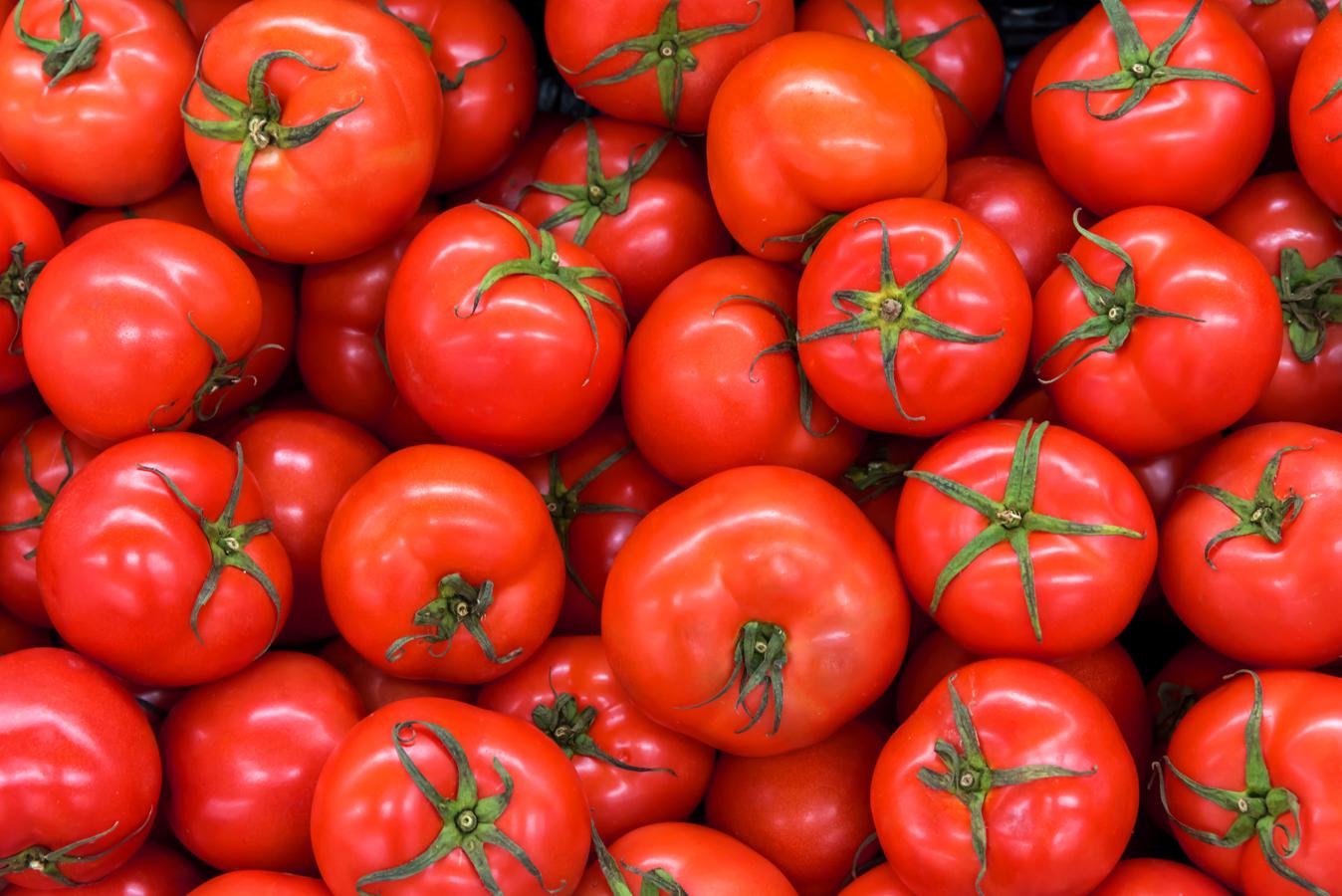 Tomate. Existen multitud de <a href="https://www.abc.es/bienestar/alimentacion/abci-tomate-202002121421_noticia.html" target="_blank">tomates</a>, que se encuentran todo el año en la península, aunque su temporada natural es el verano. Es uno de los productos con mayor producción en invernadero. Los tomates madurados al sol del verano alcanzan un nivel de sabor y textura imposibles de superar. Además, existen muchas variedades distintas que corren el peligro de desaparecer por centrar la producción únicamente en las que mejor se venden