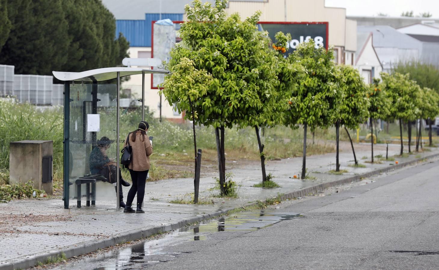 El desierto de la industria de Cordoba, en imágenes