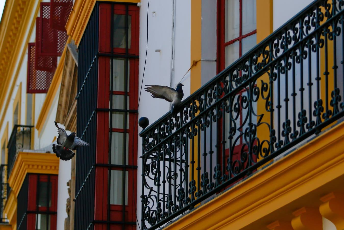 Coronavirus en Sevilla: Así vive el Arenal el estado de alarma