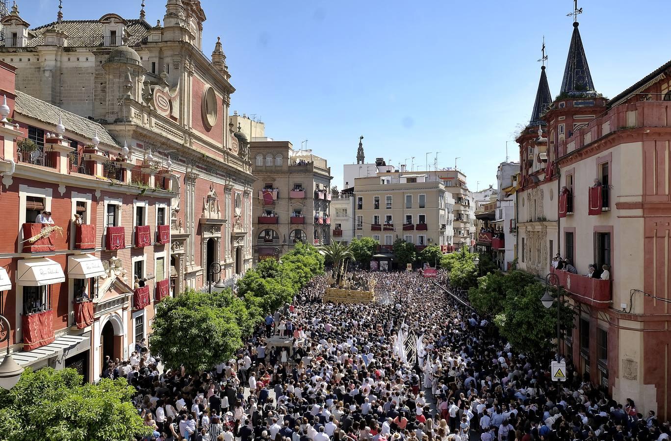 La Borriquita saliendo ante una repleta plaza del Salvador. 