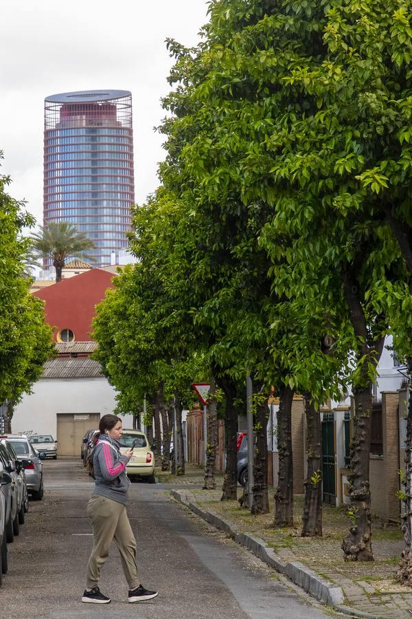 Cómo viven El Tardón y el Barrio León el estado de alarma