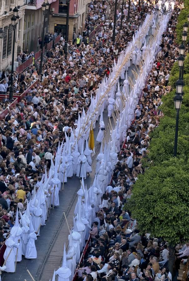 Hermandad de la Candelaria por la Avenida de la Constitución