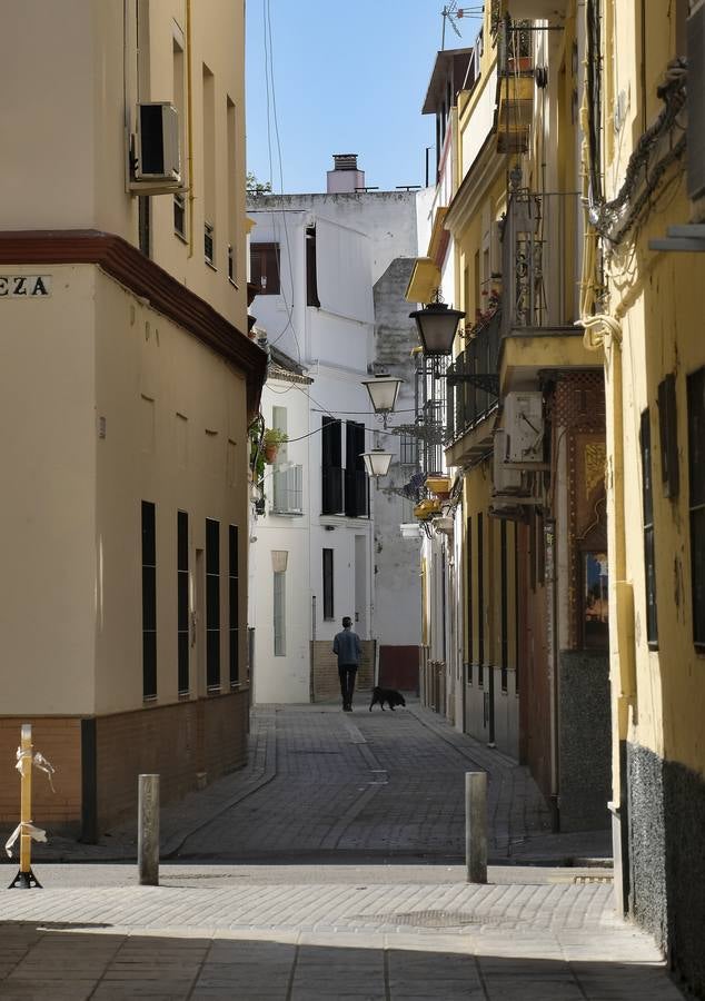 Coronavirus en Sevilla: los balcones se engalanan para vivir una Semana Santa sin procesiones