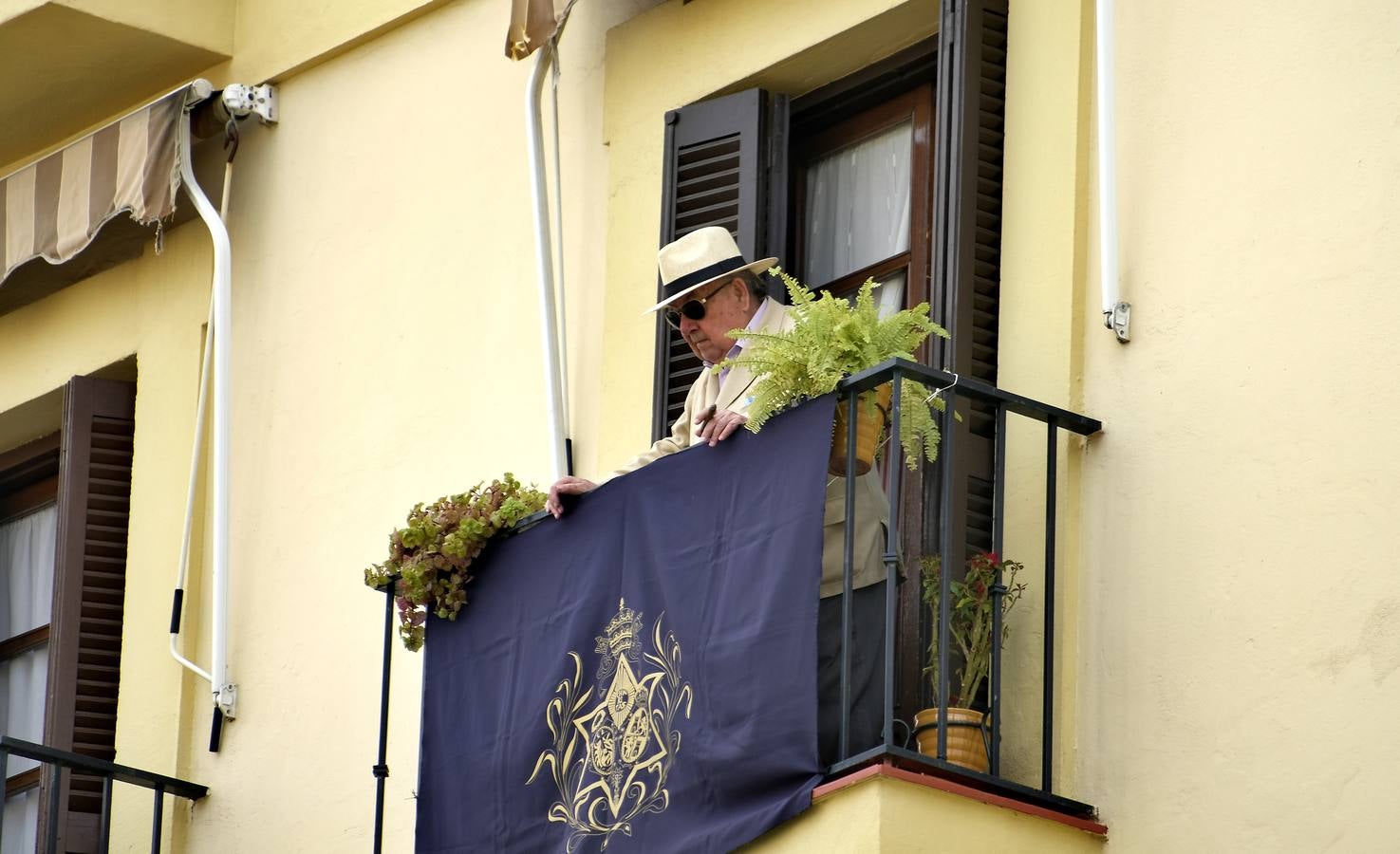 Semana Santa de Sevilla 2020: Un Domingo de Ramos desde los balcones