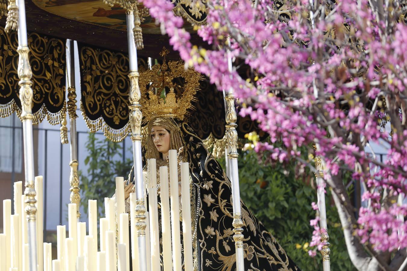 La memoria del Jueves Santo de Córdoba, en imágenes