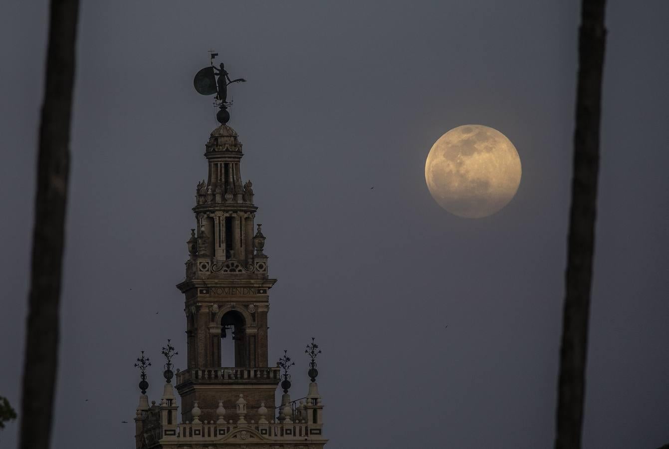 La luna tiñe de rosa las noches de Sevilla