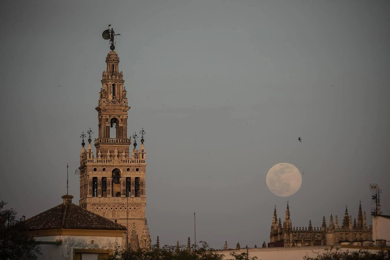 La luna tiñe de rosa las noches de Sevilla