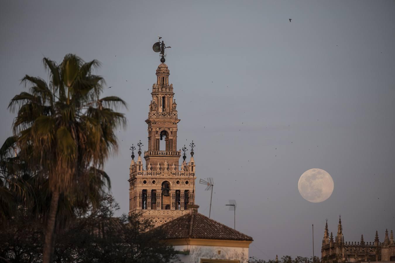 La luna tiñe de rosa las noches de Sevilla