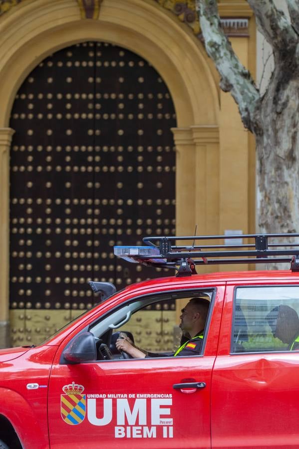 Imágenes de la Semana Santa de Sevilla de 2020: La Quinta Angustia