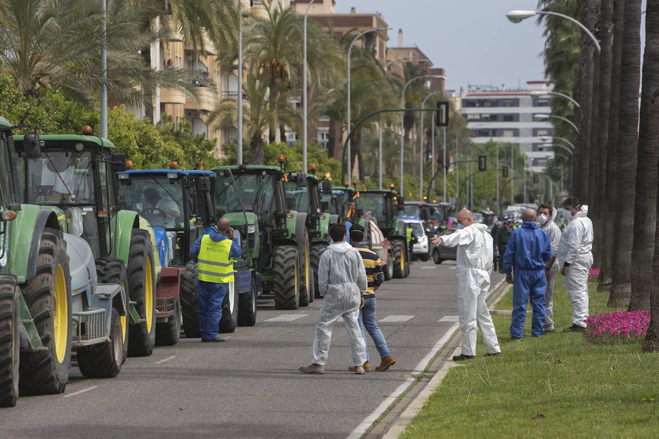 El homenaje de los agricultores a los sanitarios de Córdoba, en imágenes