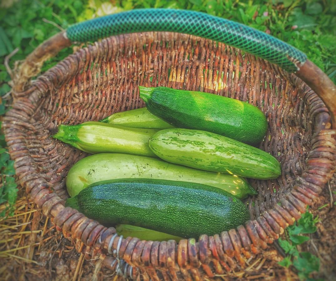 Calabacines crudos. Tiene mucha menos fibra que otras verduras, con tal solo un gramo por cada 100 gramos de porción comestible, pero igualmente los <a href="https://www.abc.es/bienestar/alimentacion/recetas-saludables/abci-adelgazar-receta-calabacin-y-limon-para-comertelos-hasta-piel-202001081324_noticia.html" target="_blank">calabacines</a>, que se incluyen en purés, ensaladas o incluso sirven para hacer espaguetis, cuentan como una buena fuente de fibra.