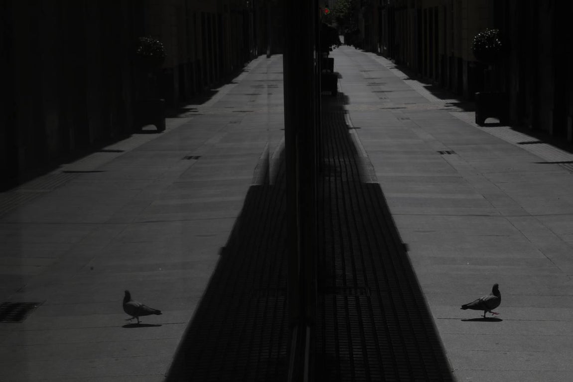 Coronavirus en Cádiz: Martes 14 de abril de 2020