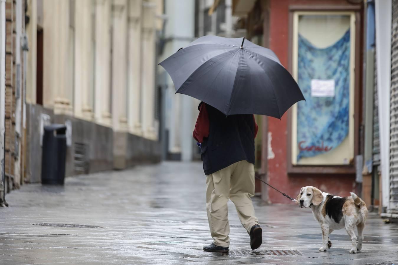 La Sevilla vaciada