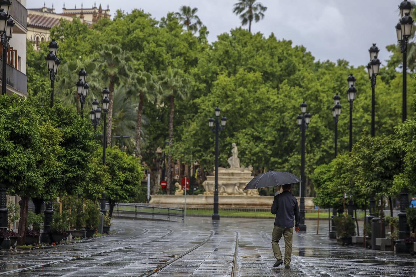 La Sevilla vaciada