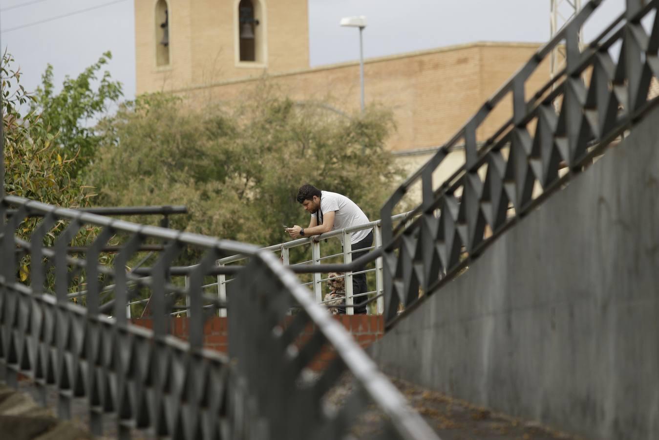 Coronavirus Sevilla: Palmete y Padre Pío durante el estado de alarma