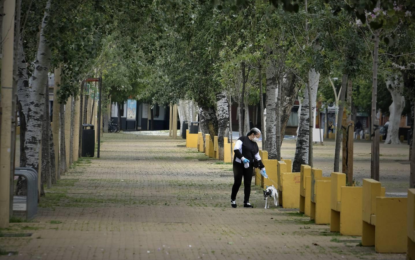 Pasea por Sevilla sin salir de casa