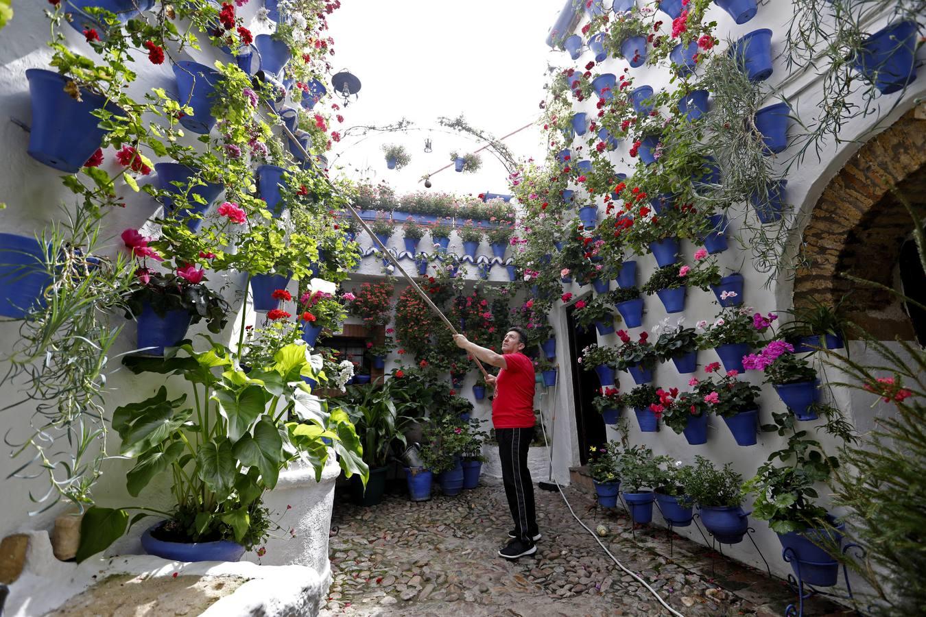 Los Patios de Córdoba florecen a puerta cerrada, en imágenes