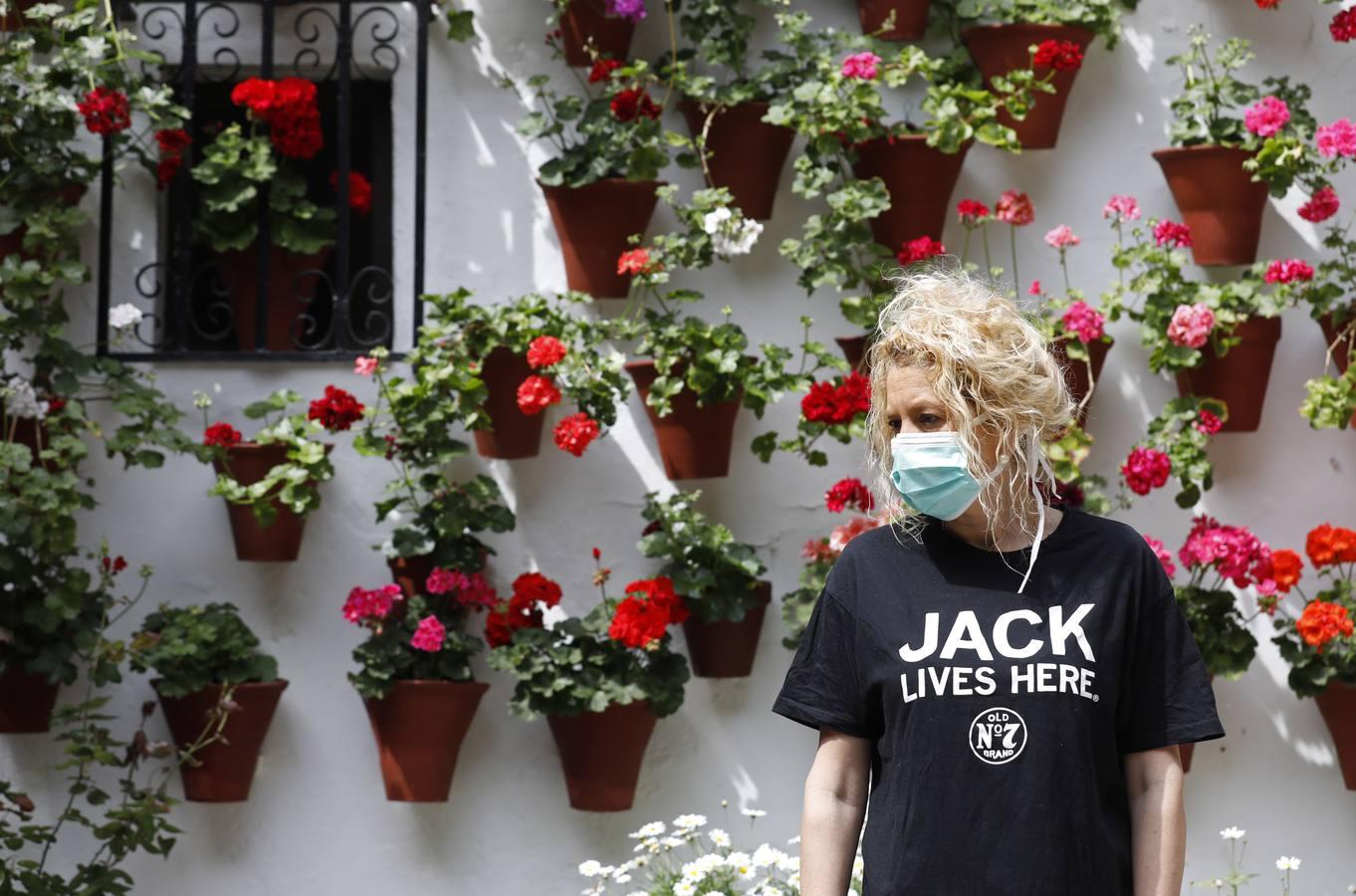 Los Patios de Córdoba florecen a puerta cerrada, en imágenes