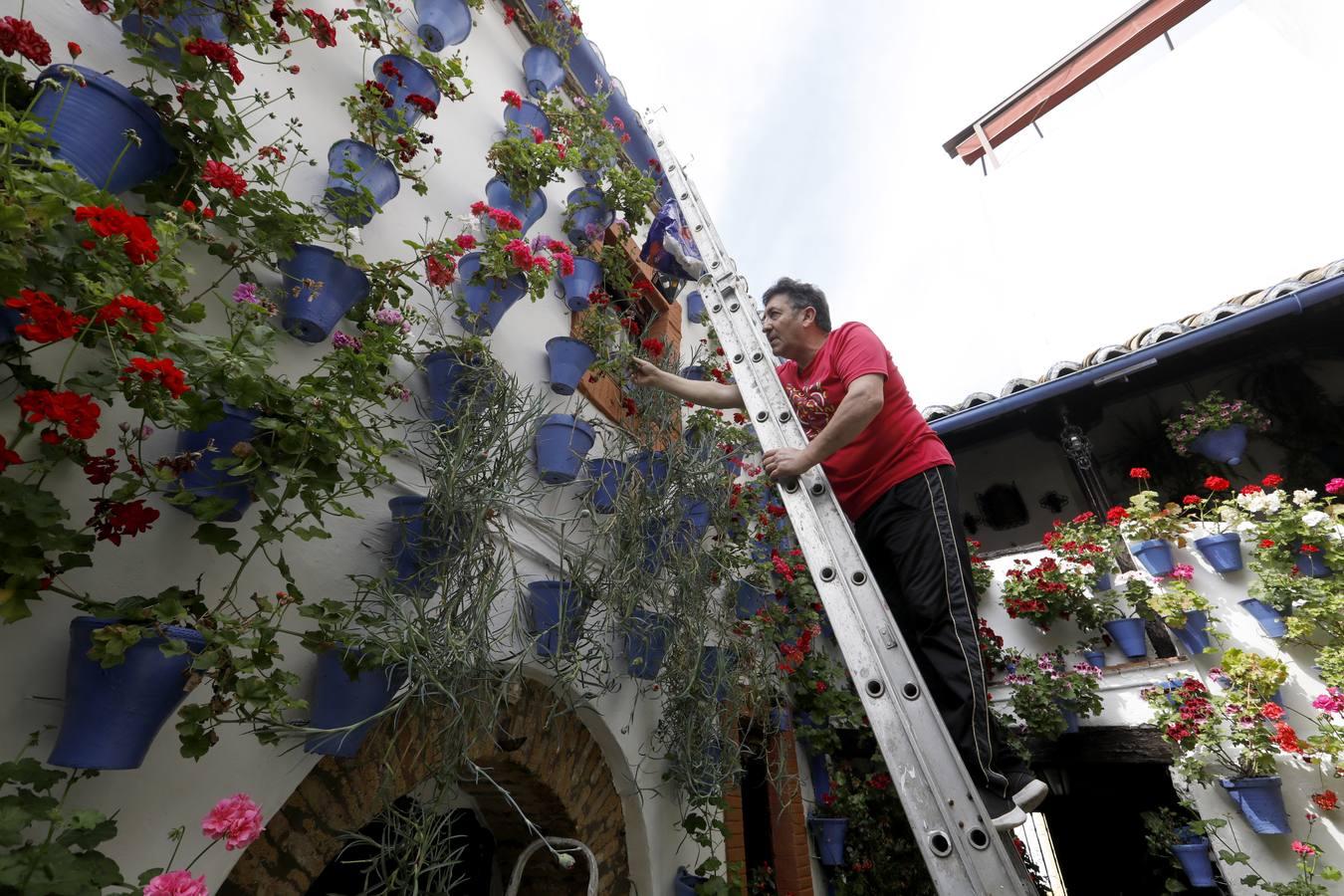 Los Patios de Córdoba florecen a puerta cerrada, en imágenes