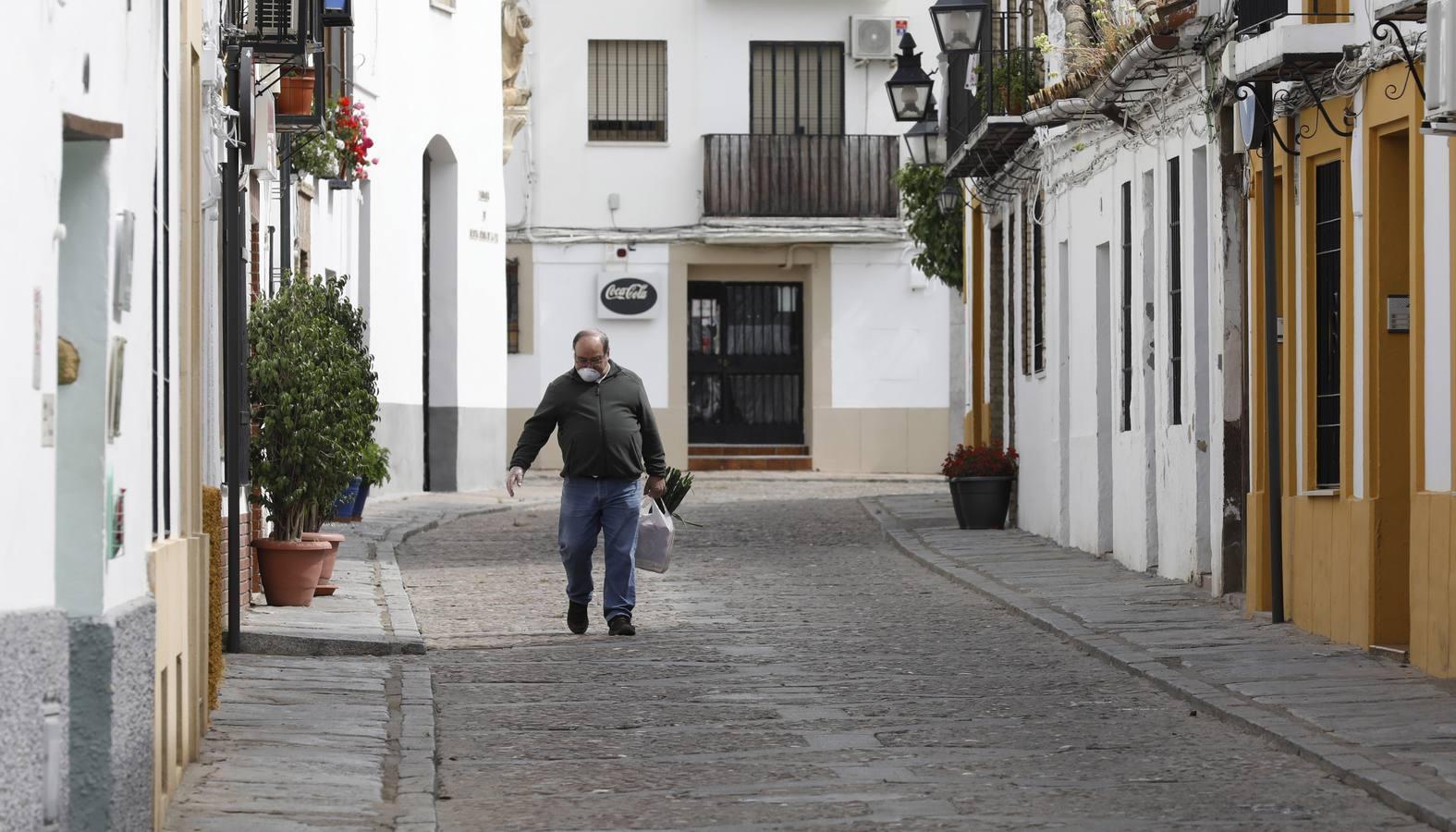 Los Patios de Córdoba florecen a puerta cerrada, en imágenes