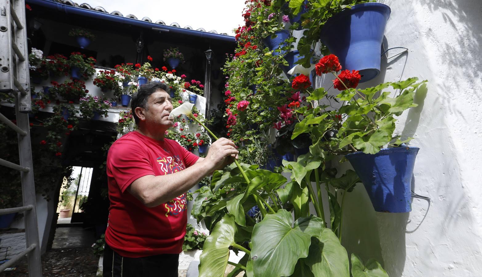 Los Patios de Córdoba florecen a puerta cerrada, en imágenes