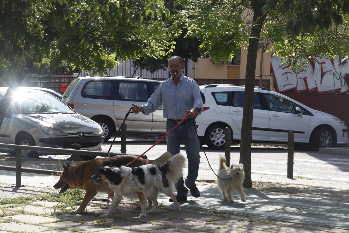 Crisis del coronavirus: Día a día en el barrio del Polígono Norte