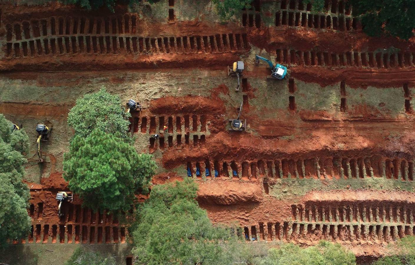 Detrás de Sao Paulo aparecen los estados de Río de Janeiro (402 muertes), también en la circunscripción territorial del Sudeste; Pernambuco (216) y Ceará (186), ambos en la región Nordeste, y Amazonas (182), en la del Norte.. 