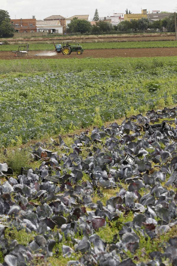 Coronavirus en Sevilla: así vive se vive el confinamiento en la barriada de El Gordillo