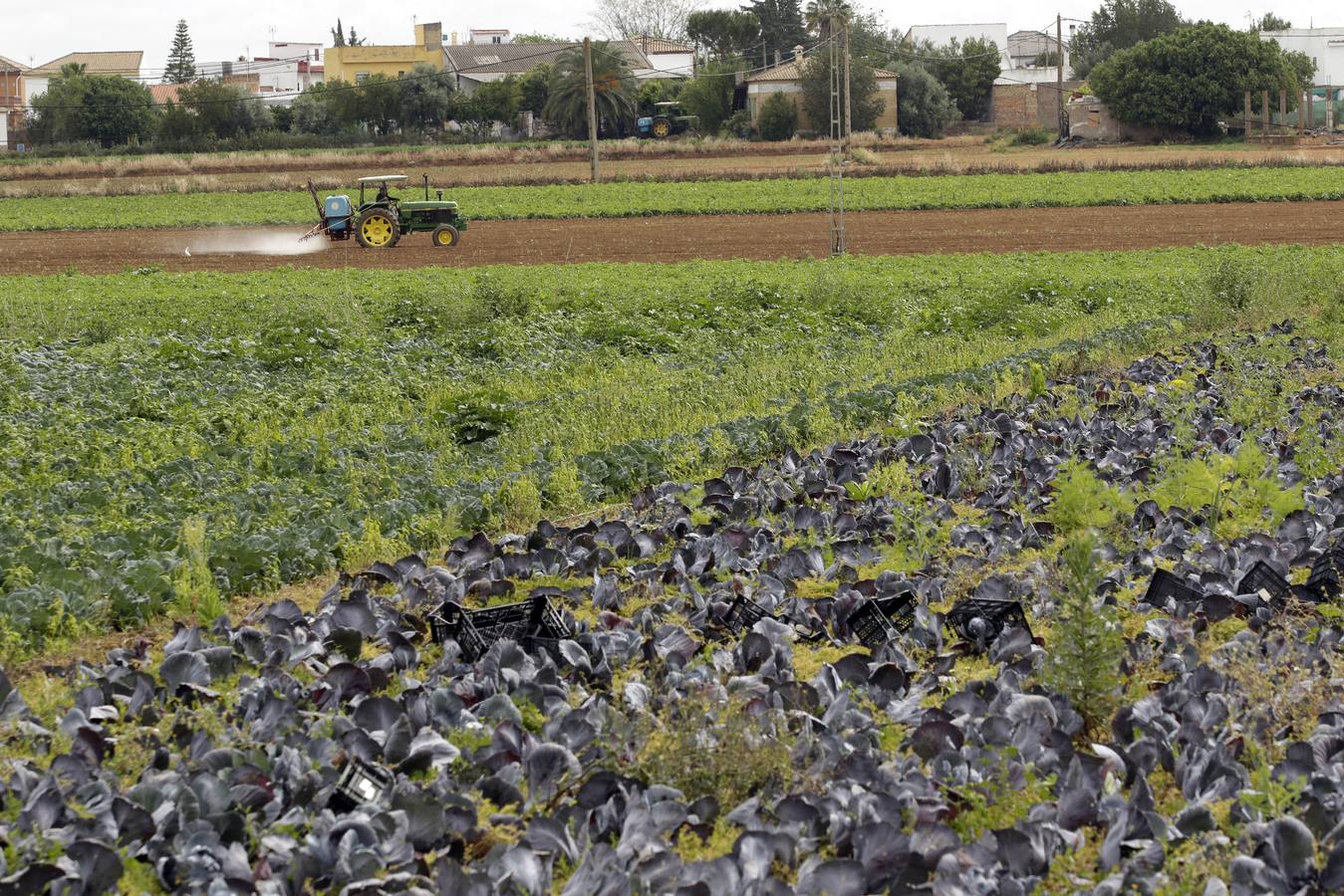 Coronavirus en Sevilla: así vive se vive el confinamiento en la barriada de El Gordillo