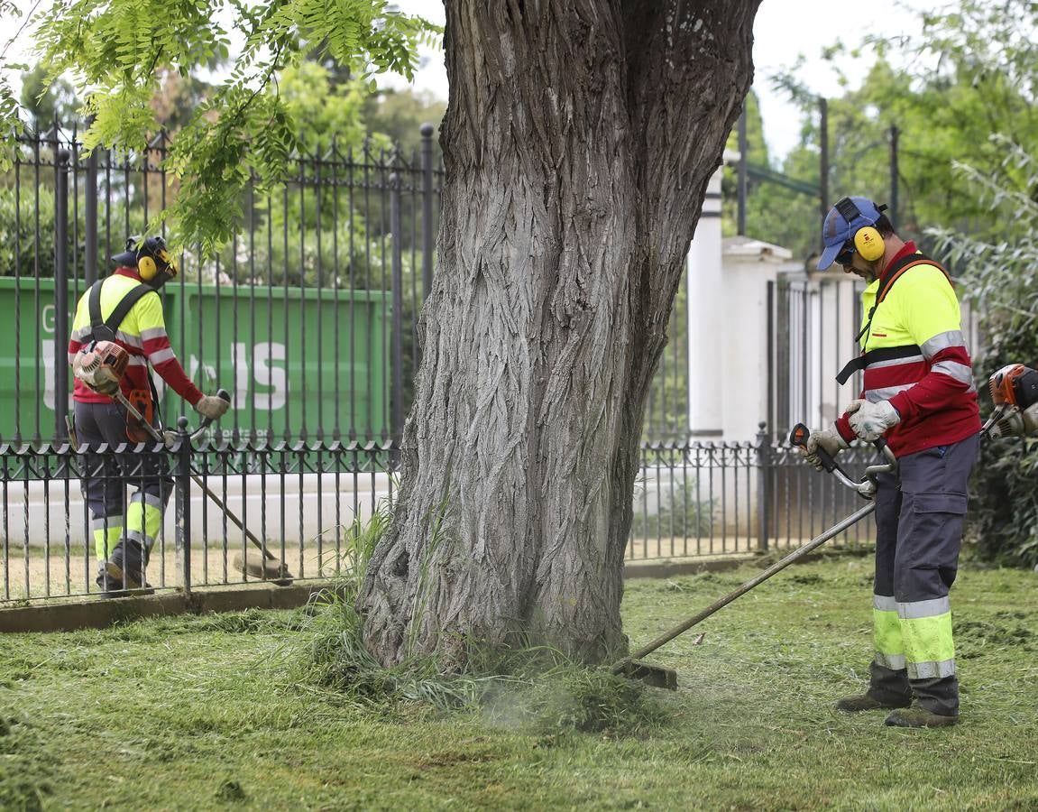 El cuidado de los parques y jardines de Sevilla no se detiene