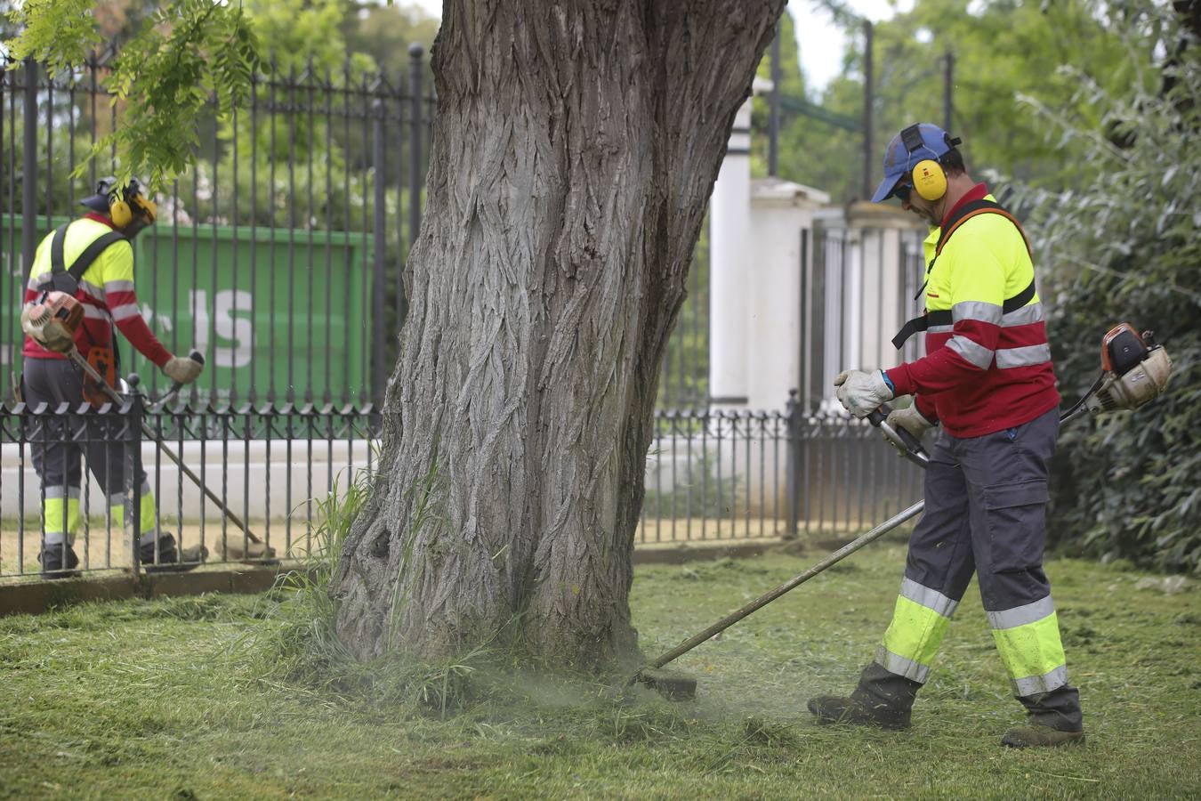 El cuidado de los parques y jardines de Sevilla no se detiene