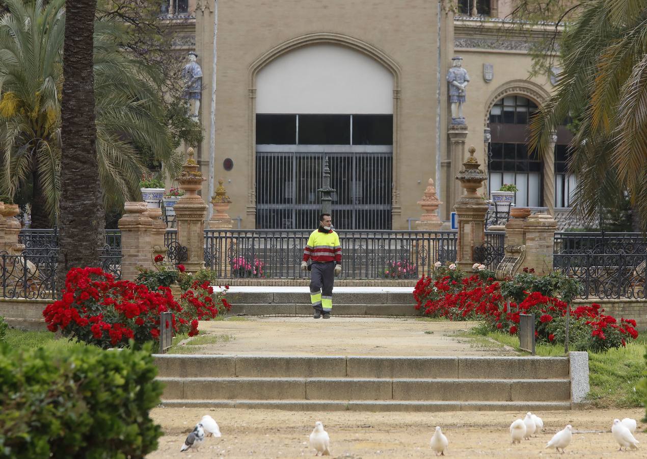 El cuidado de los parques y jardines de Sevilla no se detiene