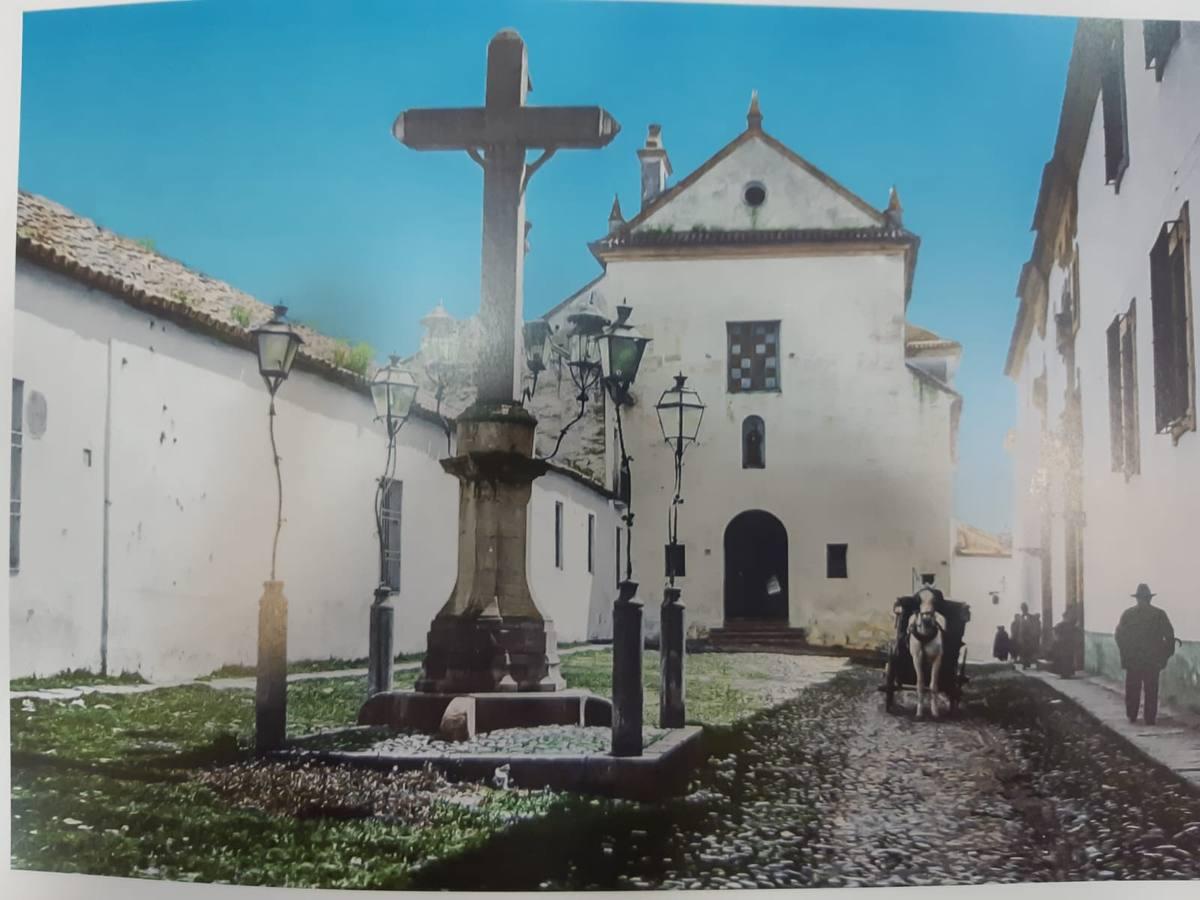 El poético tapete verde de la plaza de Capuchinos de Córdoba, en imágenes