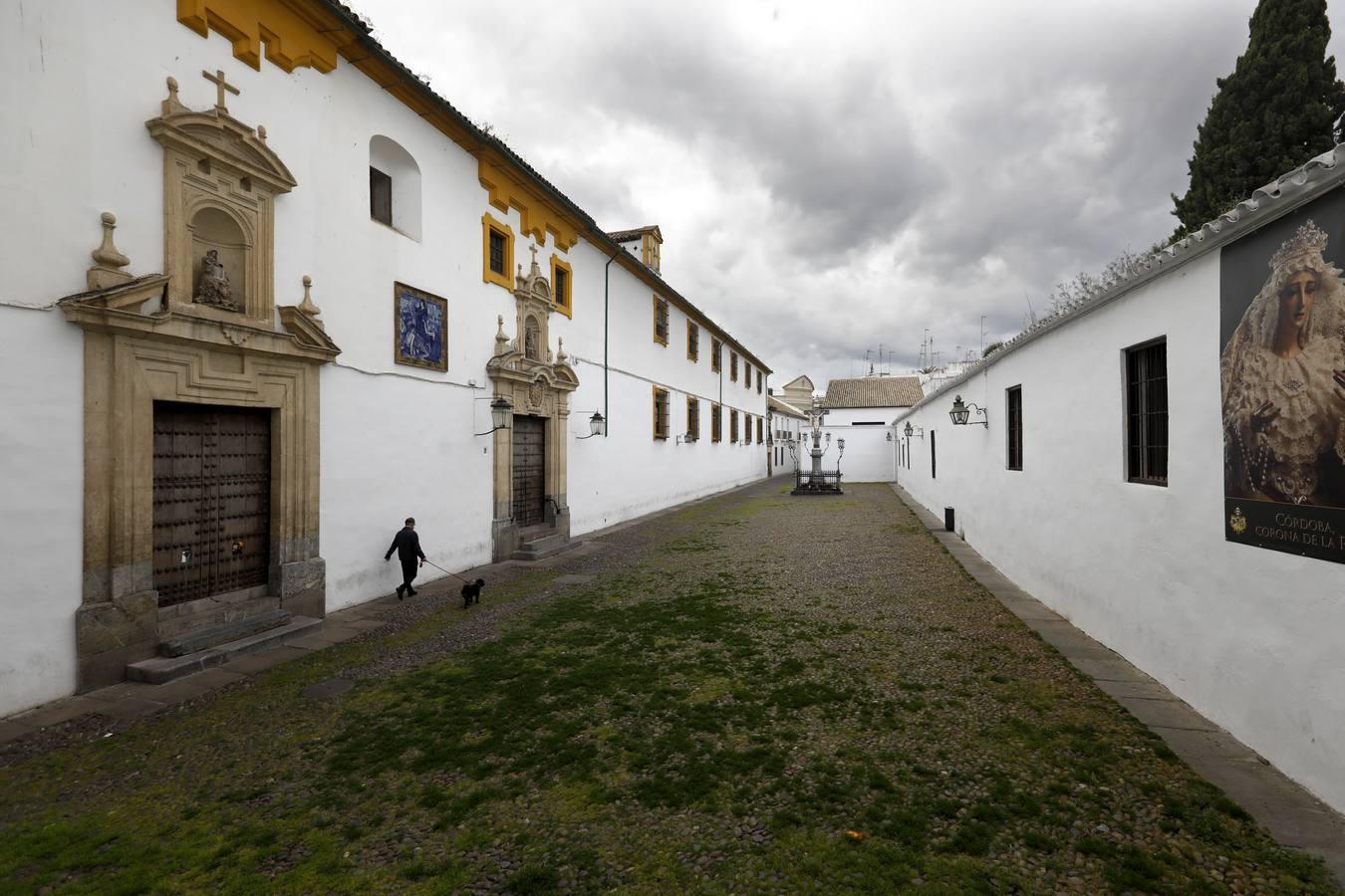 El poético tapete verde de la plaza de Capuchinos de Córdoba, en imágenes