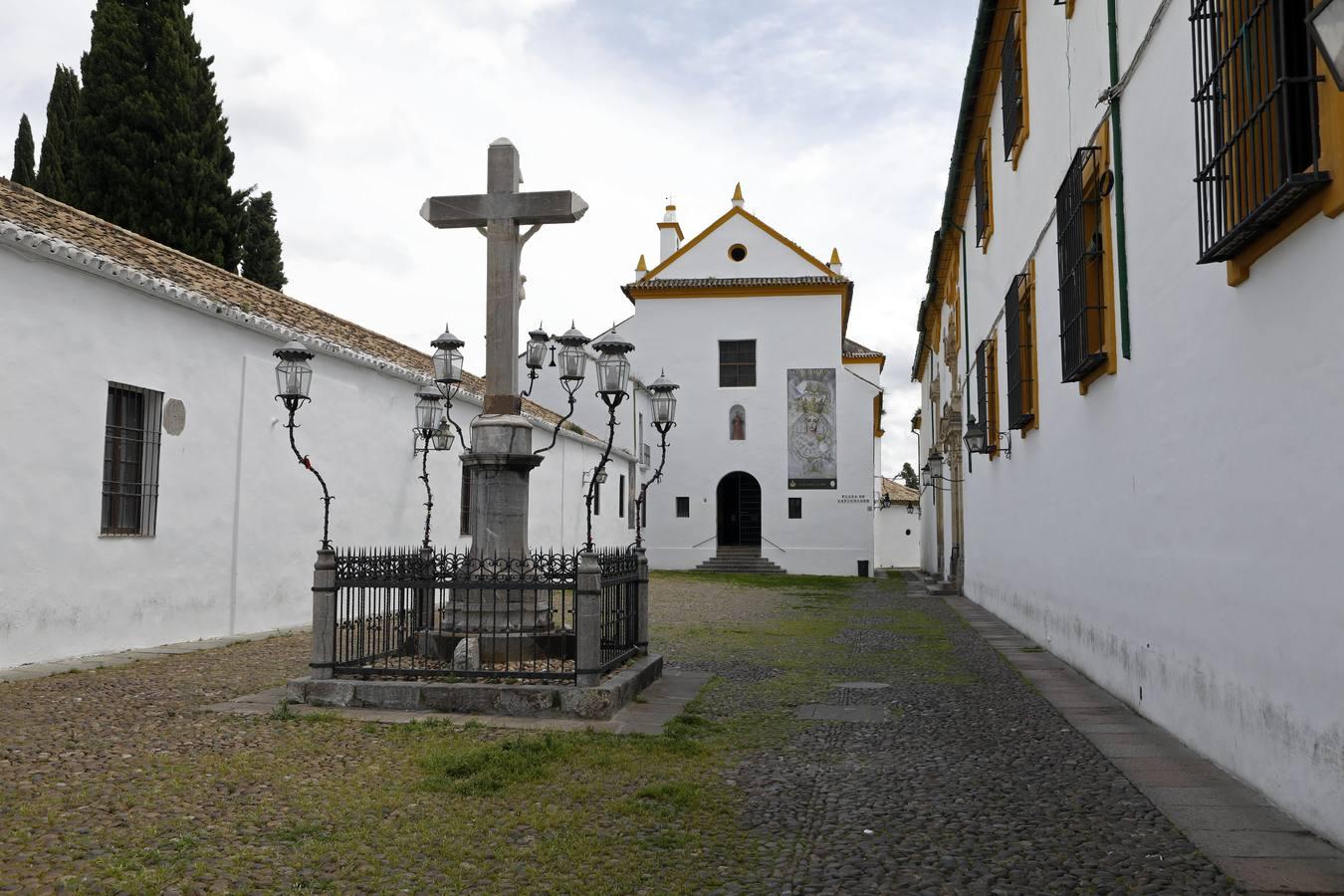 El poético tapete verde de la plaza de Capuchinos de Córdoba, en imágenes