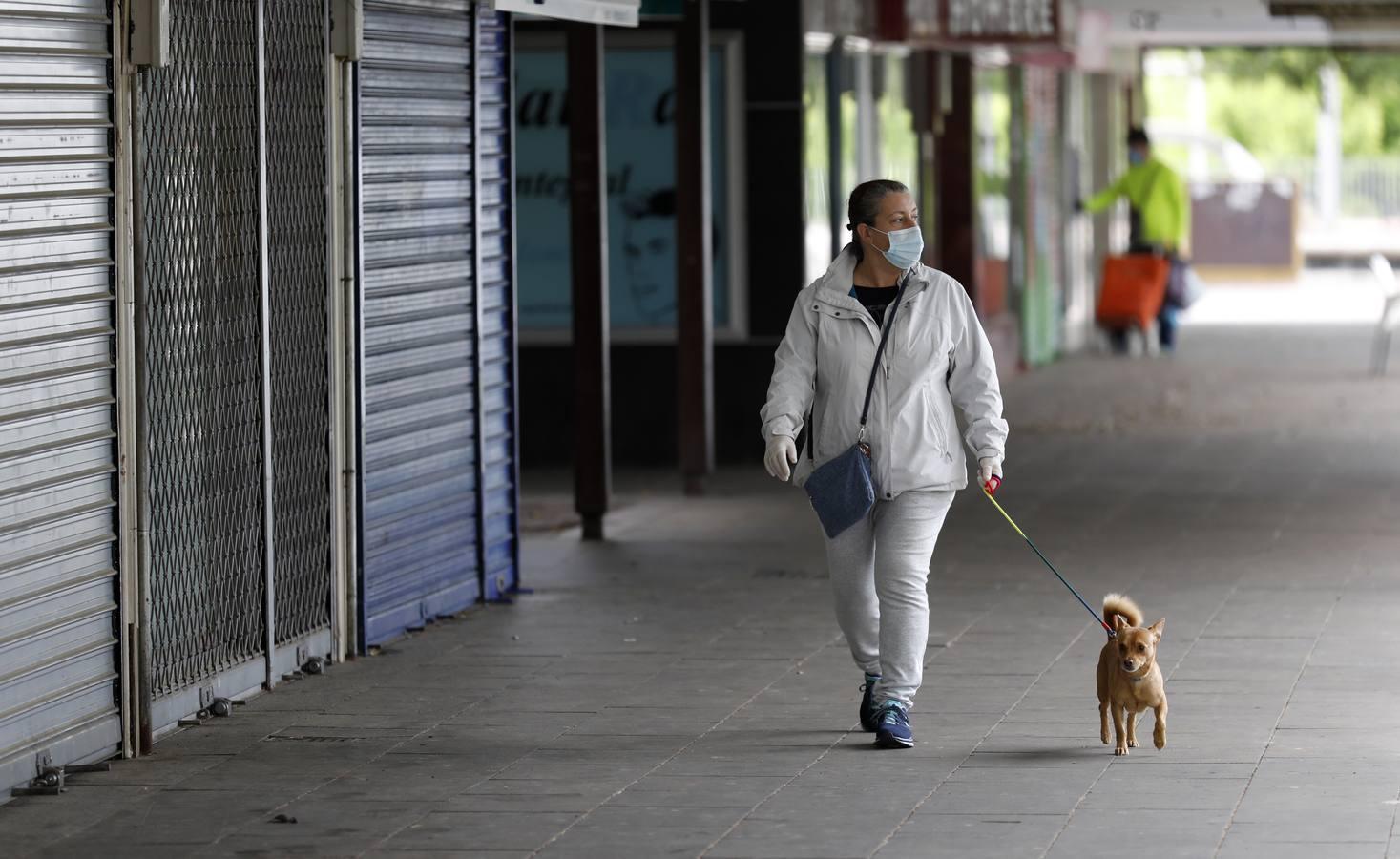 Coronavirus en los barrios de Córdoba | Un rastro desolador en Parque Figueroa