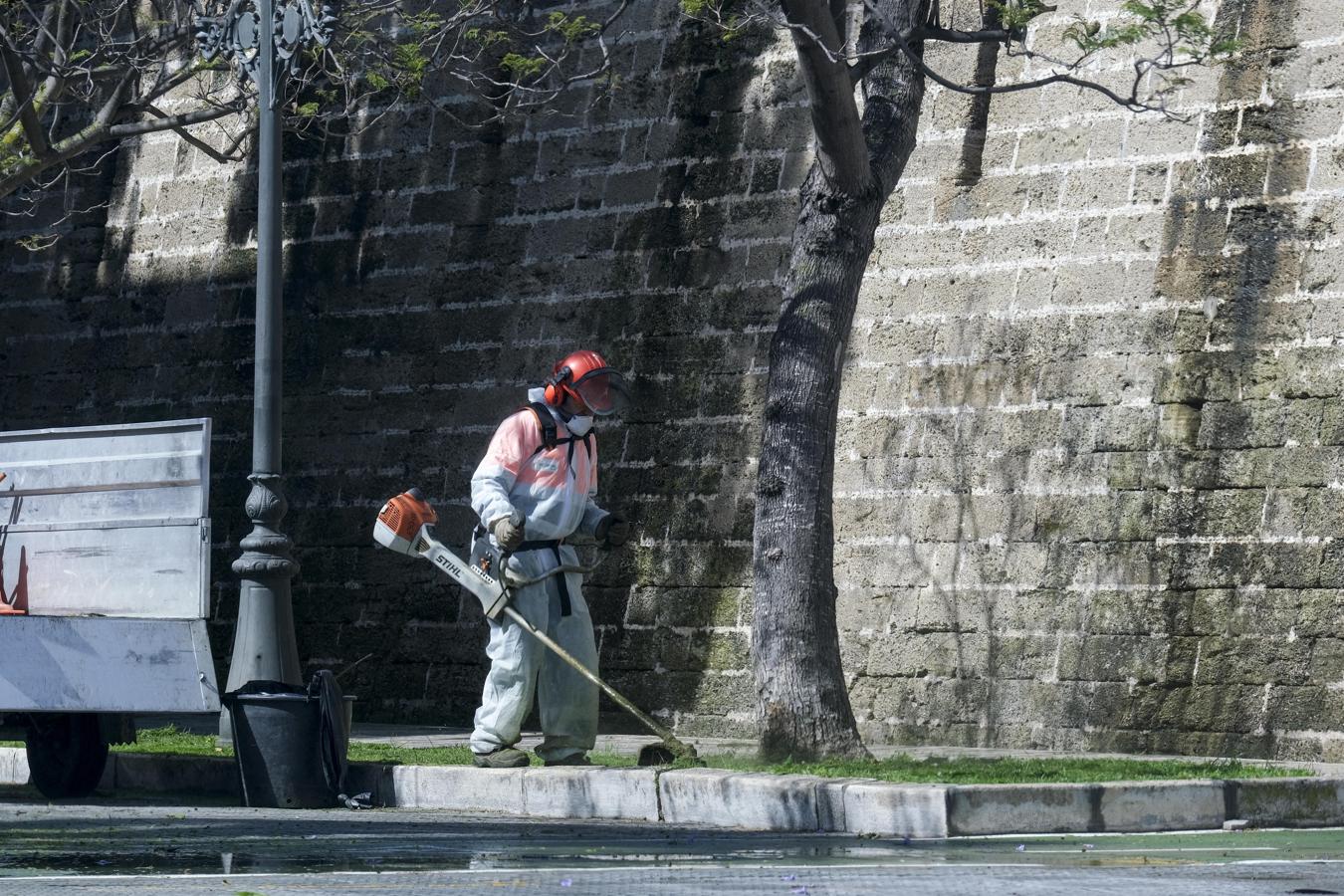 Fotos: El temporal y el confinamiento dibujan una Cádiz desangelada